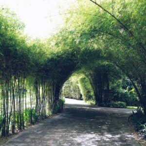 20250429_Noble Aurelia_with Unit Plans_PLOT A.pdf-image-277